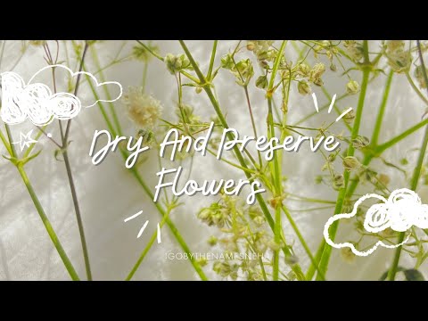 How To Dry And Preserve Flowers With Microwave Oven | EASIEST METHOD