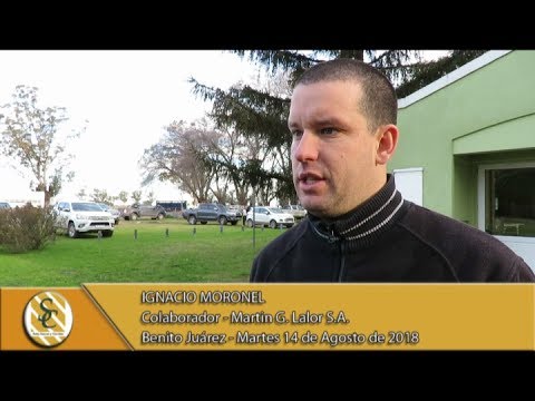 14-08-18 Nota Ignacio Moronel - Martin G. Lalor S.A. - B. Juarez.