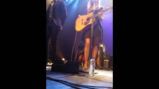 The common linnets proud Tilburg 013