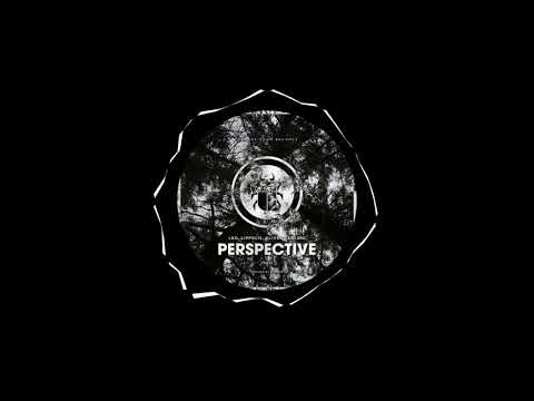 Leo Lippolis, Oliver Carloni - Perspective (D-Unity Remix)