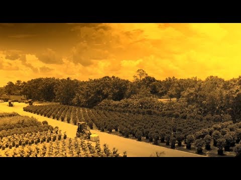 Cat® 903D Compact Wheel Loader | Get Comfortable and Understanding Controls