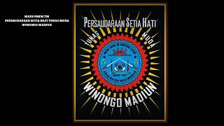 Download lagu MARS LIRIK PSHW.TM - PERSAUDARAAN SETIA HATI TUNAS MUDA WINONGO MADIUN 🇮🇩 mp3