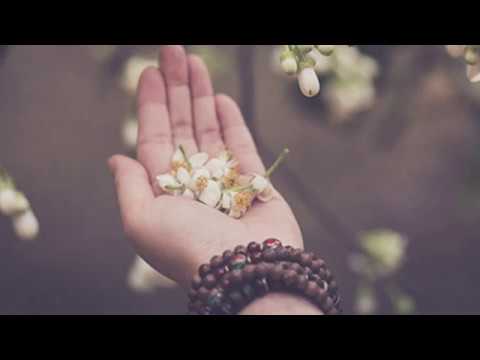 Tâm sự - Nam Cường