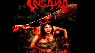 Insan0 - The Devils Work