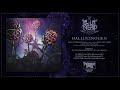 Blut aus Nord - Hallucinogen (Full Album) Video