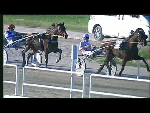 Napoli Trotto 11/11/2022 - 4ª corsa