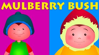 Here We Go Round The Mulberry Bush | Five Little Monkeys And More