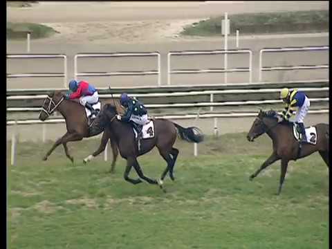 Galoppo 27/12/2017 - 1ª corsa