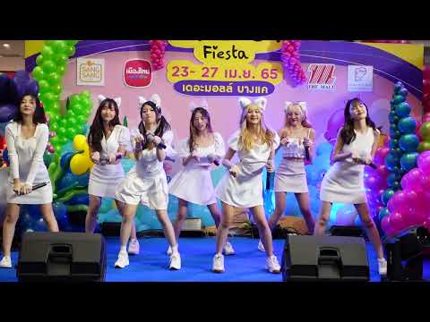 C0259 Cm Cafe​ Trainee Team C - " ทาสแมว " The Mall​ Balloon Fiesta @ The mall bangkae