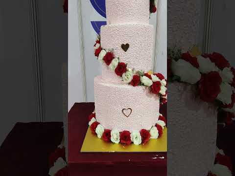 Cake show #cake #cakeshow #christmas #yummy #cakedecorating#cakedesign #tastyfood#yummyfood#trending