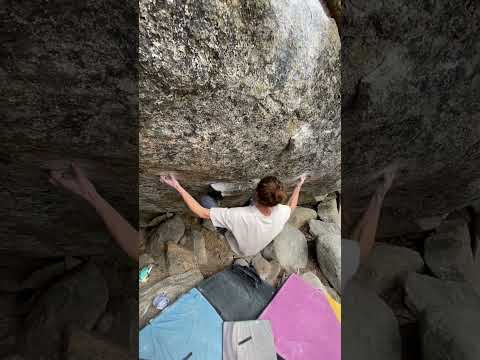 Demon on a leash (stand), Kirkwood