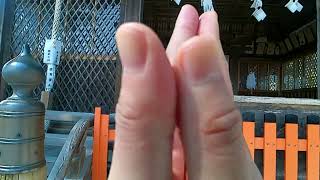 高島市から琵琶湖の周りを歩きながら白髭神社まで歩く。パート7