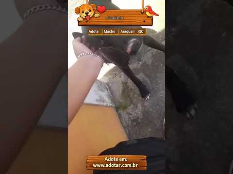 Vídeo de Pretinho