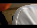 Exterminating the Bed Bugs in the Mattress in East Brunswick, NJ