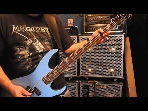 ACCEPT SOUNDS OF WAR BASS COVER  Dedicated to Ukrainians and Rusaians effected by the war