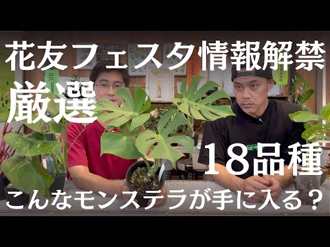 園芸 花とレコード