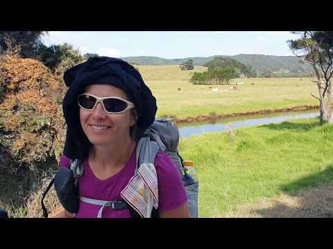 Te Araroa New Zealand 2019/2020 - Day 15: Pakiri, Omara Forest, Dome Forest / km 491