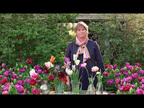 Gardening at home with Sarah | The best tulips at Perch Hill