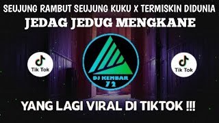Download lagu DJ SEUJUNG RAMBUT SEUJUNG KUKU REMIX FULL BASS VIRAL TIKTOK TERBARU 2022 | DJ TITIP CINTAKU mp3