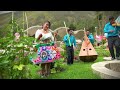 ▶Flor Encanto de Roble - Maypiraq mamay ☀FullHD