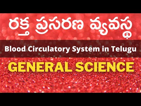 రక్త ప్రసరణ వ్యవస్థ | Human Blood Circulatory System in Telugu | Functions, Types, How it works?