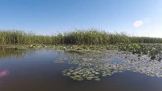 Рыбалка в дельте волги астрахани