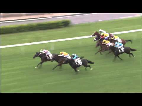 Clever Spirit - Karis Teetan (10 October)