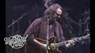 Widespread Panic - Contentment Blues