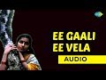Ee Gaali Ee Vela Audio Song | Sirivenela | SPB & P Susheela Hits