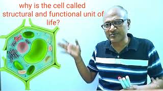 Why is the cell called structural and functional unit of life /the cell fundamental unit of life