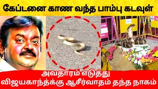 கேப்டன் விஜயகாந்த் ஐ தேடி வந்து ஆசீர்வாதம் செய்த பாம்பு! Snake blessed Captain Vijayakanth