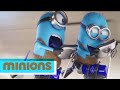 Minions Competition Effects 5 Voice Normal