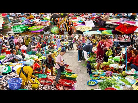 Chbar Ampov Fish Market Scene - Daily Lifestyle of Vendors Selling Alive Fish, Dry Fish & More Food