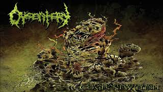 Download lagu Dysentery - From Past Suffering Comes New Flesh (FULL ALBUM | 2008) mp3