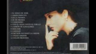 Ladrón de Corazones Music Video