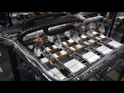 Robotic Case Packer, Flexi-Packer, Variety Packs of Juice - BW Integrated Systems