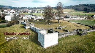 Vellezerit Alimusaj - Lajmëtar I Parë