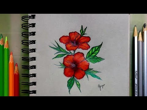 Drawing hibiscus flower 🌺 | Bidisha's art gallery  #art #artist #drawing #sketch #pencilsketch