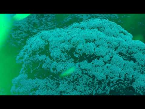 Beyun - Be Here Now (Official Video)