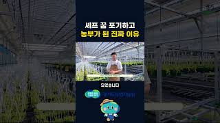 셰프의 꿈 포기하고 농부가 된 진짜 이유!