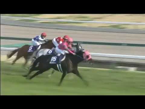 2018.03.25 Takamatsunomiya Kinen (JPN) - Fine Needle