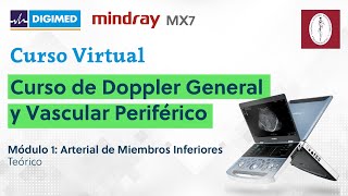 Curso de Doppler General y Vascular Periférico. Módulo 1 - Teórico: Arterial de Miembros Inferiores
