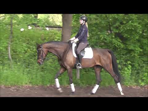 STAR 7j. Stute v. Quateron - Sandro Hit