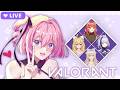 【Valorant】OMG VALO WITH CUTIES