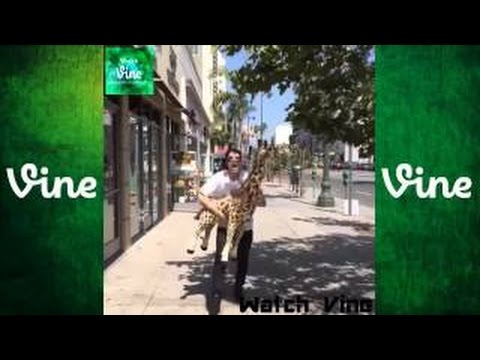 Ultimate Christian DelGrosso Vine Compilation [HD] All Vines (400  Vines) Watch Vine ★