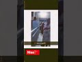 Karni Mata Ringtone