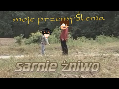 Moje przemyślenia - Sarnie żniwo