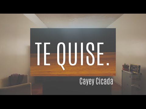 Cé Cicada (Feat. Forastero Galáctico) - Te Quise ( Lyric Video )