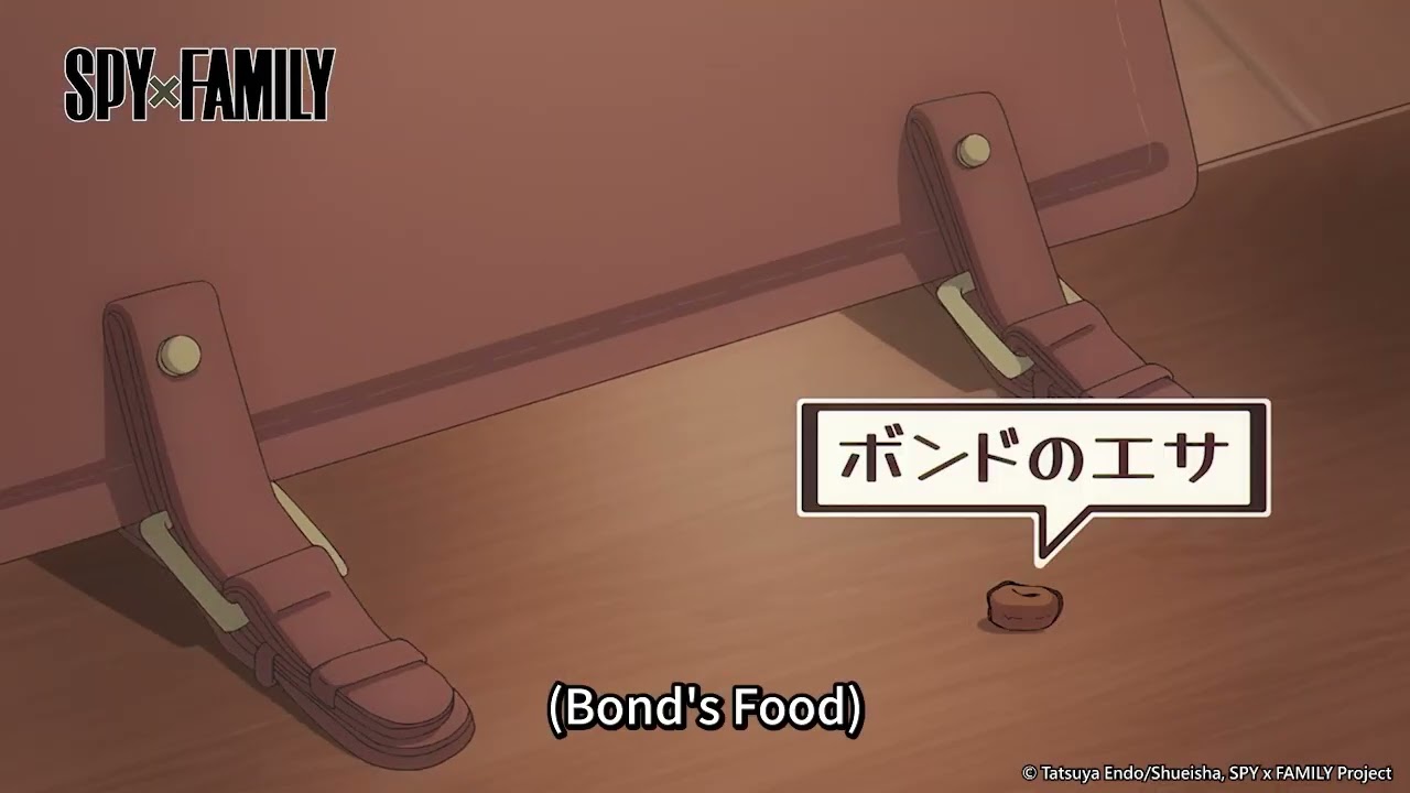 《SPY×FAMILY Season 3》 Anime Highlight