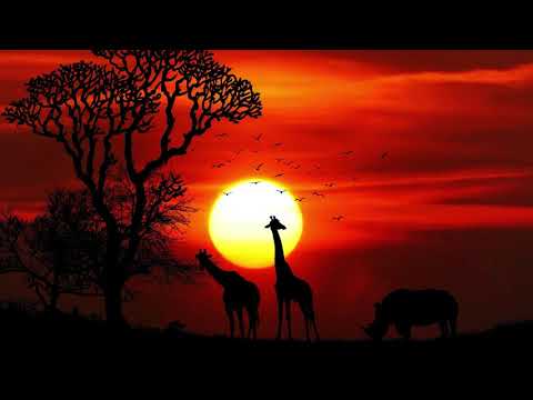 Chris Andreus -  African Spirit